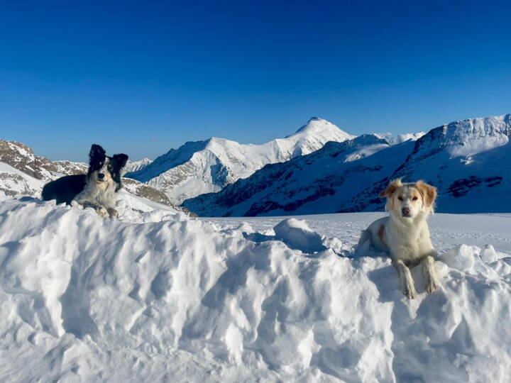 cdd71a92-3918-4224-a162-de957836f2e3.jpeg cdd71a92-3918-4224-a162-de957836f2e3.jpeg