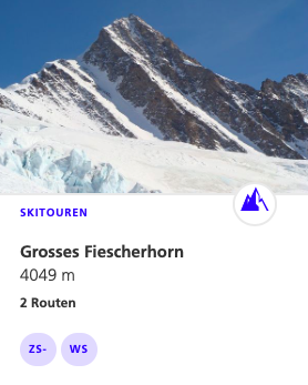 Grosses_Fiescherhorn